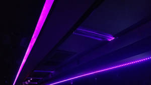 Glowing Neon Purple Lights 4k Wallpaper