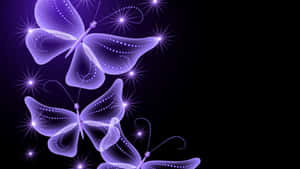 Glowing Purple Butterflies Graphic Wallpaper