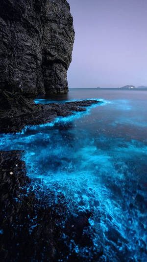 Glowing Seawater Wallpaper