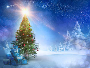 Glowing Star In Christmas Forest Wallpaper