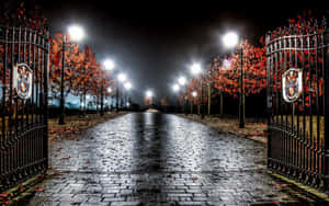 Glowing Street Light At Dusk Wallpaper