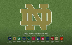 Go Irish! Wallpaper