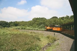 Going Places In The Big City Wallpaper