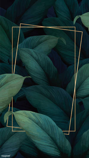 Gold Frames Leaves Iphone Wallpaper