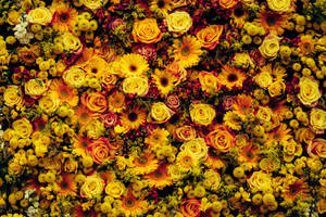 Golden Floral Party Wallpaper