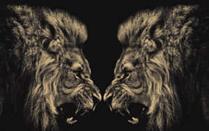 Golden Majestic Lion Wallpaper