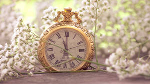 Golden Pocket Watch White Flowers Wallpaper