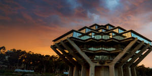 Golden Sky Ucsd Wallpaper