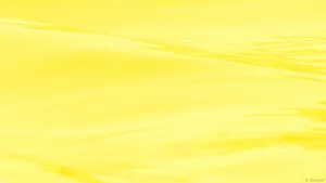 Golden Sunset Wallpaper