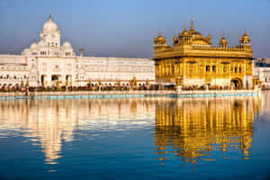 Golden Temple Reflected Off Of Pool Wallpaper