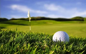 Golf Ball In The Rough Wallpaper