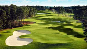 Golf Landscape And Trees Wallpaper
