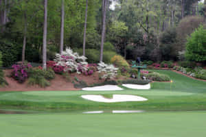 Golf Lovers Rejoice At The Beautiful And Iconic Augusta National Wallpaper
