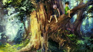 Gon Freecss Killua On Tree Wallpaper