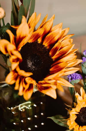 Goodbye, Long Hot Summer! Wallpaper