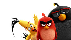 Goofy Trio From The Angry Birds Movie Wallpaper