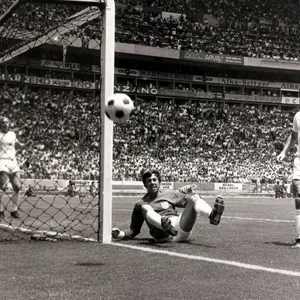 Gordon Banks Making Historic Save Wallpaper