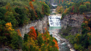 Gorgeous Autumn Foliage Throughout New York State Wallpaper