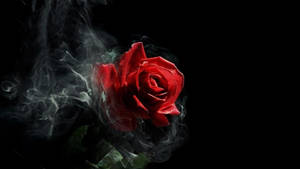 Gothic Smoke Rose Aesthetic Wallpaper