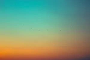 Gradient Orange And Teal Sunset Wallpaper