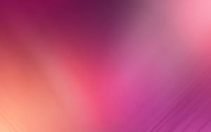 Gradient Pink Color Wallpaper