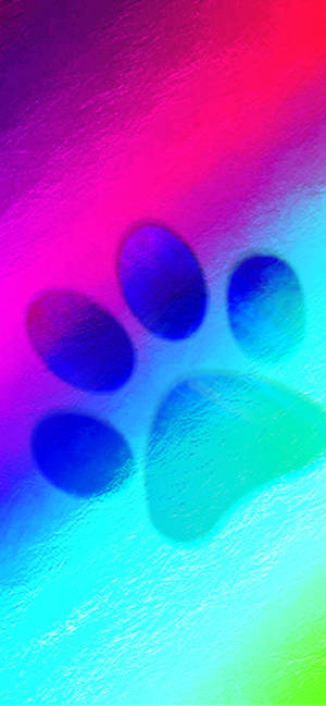 Gradient Rainbow Paw Print Wallpaper