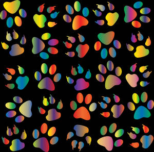 Gradient Rainbow Paw Prints Wallpaper