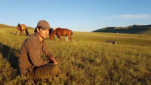 Graham Wardle In Horse Field Wallpaper