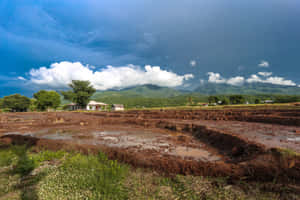 Grass Field Mud Puddle Wet Land Wallpaper