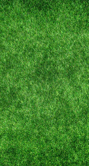 Grass Golf Phone Wallpaper