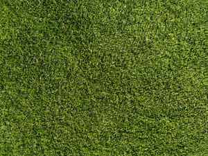 Grass Textures For Photoshop Wallpaper