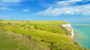 Grassland On White Cliffs Of Dover Wallpaper