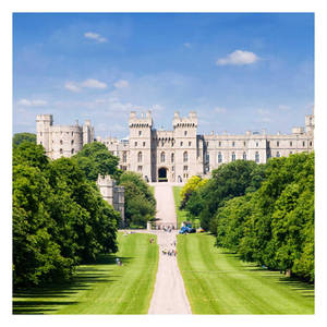 Grassy Approach Windsor Castle Square Wallpaper