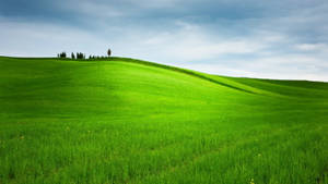 Grassy Green Hill Wallpaper