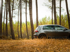 Gray Volkswagen Golf Gti In Forest Wallpaper