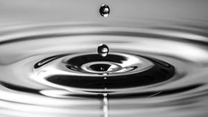 Grayscale Water Rippling Wallpaper