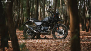 Great Black Himalayan Bike Wallpaper