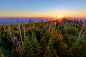 Great Smoky Mountains National Park Orange Wallpaper