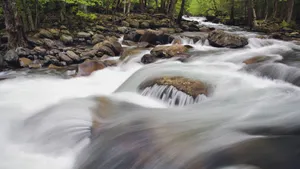 Great Smoky Mountains National Park River Flowing Wallpaper