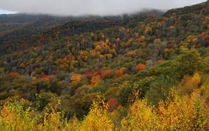 Great Smoky Mountains On Sunny Day Wallpaper