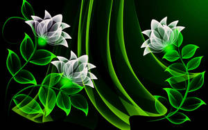 Green Abstract Of White Flowers Wallpaper