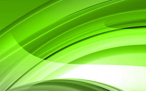 Green Abstract Strokes Wallpaper