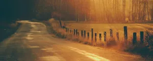 Green And Brown Country Road Desktop Wallpaper
