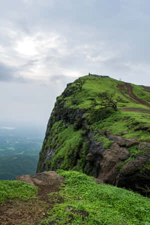 Green And Mossy Hilltop View Wallpaper