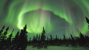 Green Aurora Borealis Wallpaper