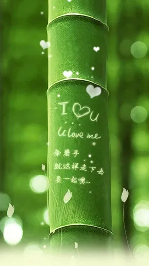Green Bamboo Stands Tall In The Namibian Desert. Wallpaper