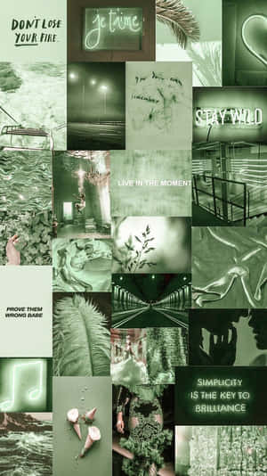 Green Collage Of Nature - Unlock Your Creativity Wallpaper