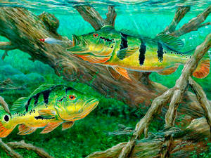 Green Cool Fishes Paint Art Wallpaper