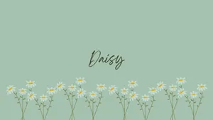Green Daisy Aesthetic Background Wallpaper