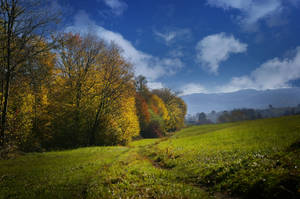 Green Field On Fall Scenic Wallpaper